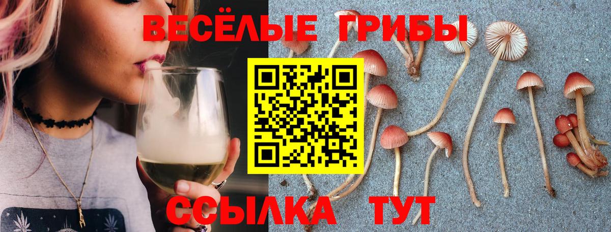Кохма  Псилоцибиновые грибы Magic Shrooms  Вход с VPN 