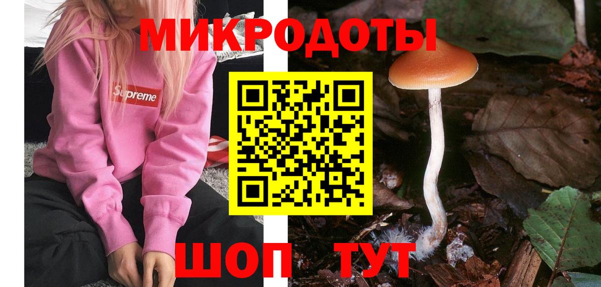 Галлюциногенные грибы MAGIC MUSHROOMS Кохма